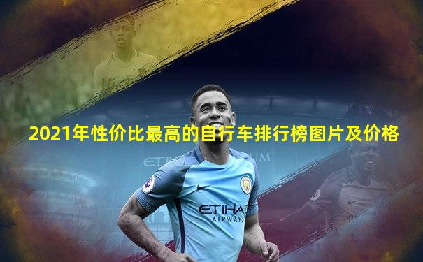 2021年性价比最高的自行车排行榜图片及价格