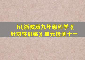 hlj浙教版九年级科学《针对性训练》单元检测十一