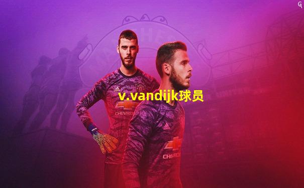 v.vandijk球员