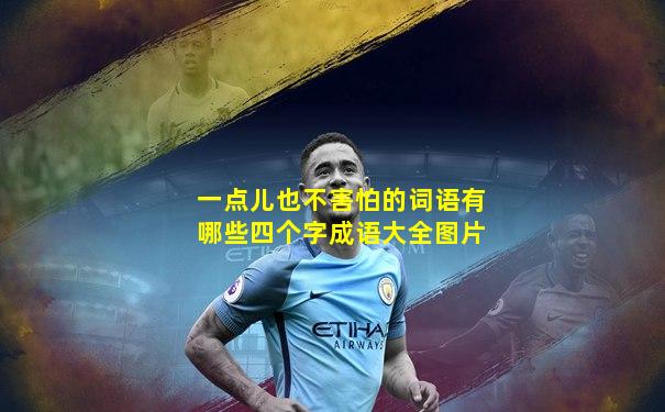 一点儿也不害怕的词语有哪些四个字成语大全图片