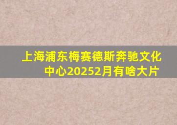 上海浦东梅赛德斯奔驰文化中心20252月有啥大片