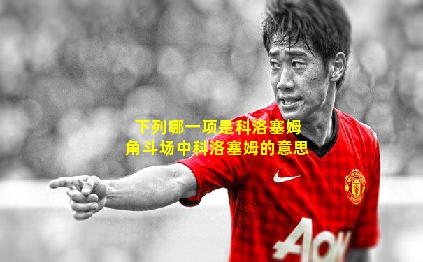 下列哪一项是科洛塞姆角斗场中科洛塞姆的意思