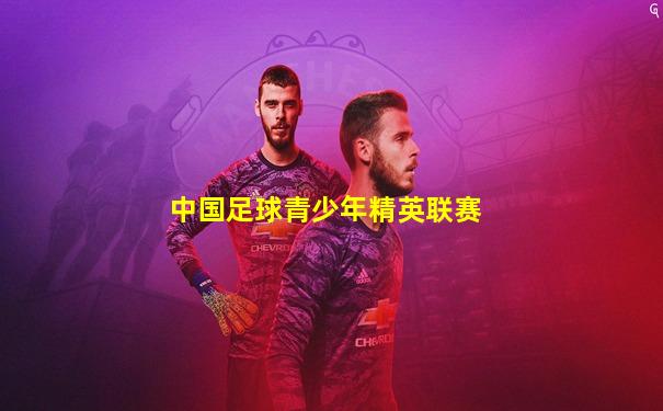 中国足球青少年精英联赛