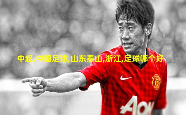 中超,中国足球,山东泰山,浙江,足球哪个好