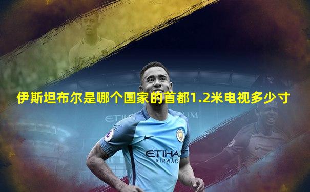 伊斯坦布尔是哪个国家的首都1.2米电视多少寸