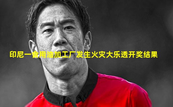印尼一食用油加工厂发生火灾大乐透开奖结果