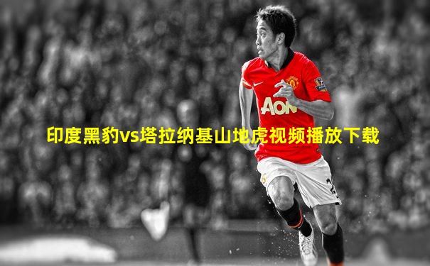 印度黑豹vs塔拉纳基山地虎视频播放下载