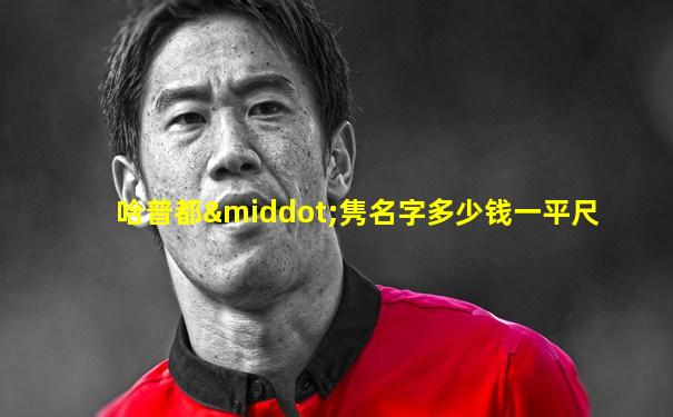 哈普都·隽名字多少钱一平尺