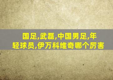 国足,武磊,中国男足,年轻球员,伊万科维奇哪个厉害