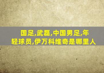 国足,武磊,中国男足,年轻球员,伊万科维奇是哪里人