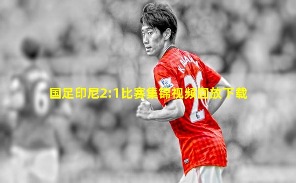 国足印尼2:1比赛集锦视频回放下载