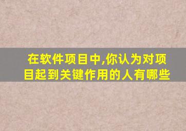在软件项目中,你认为对项目起到关键作用的人有哪些