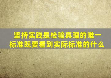 坚持实践是检验真理的唯一标准既要看到实际标准的什么