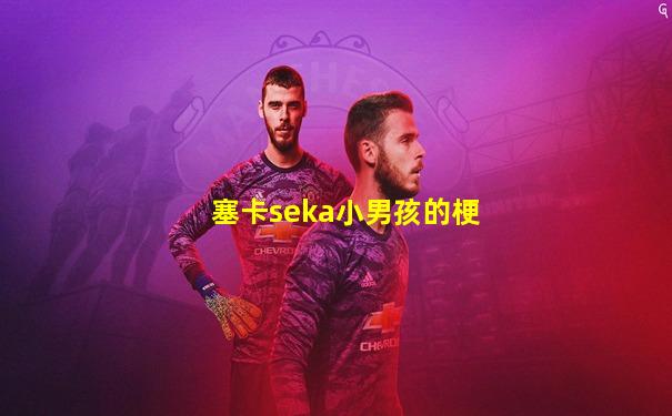 塞卡seka小男孩的梗