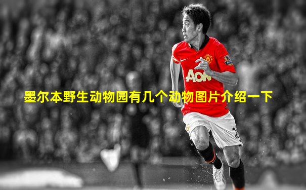 墨尔本野生动物园有几个动物图片介绍一下