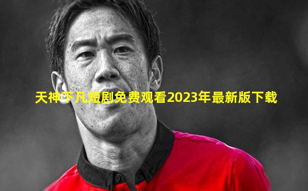 天神下凡短剧免费观看2023年最新版下载