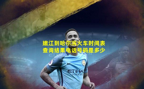嫩江到哈尔滨火车时间表查询结果电话号码是多少