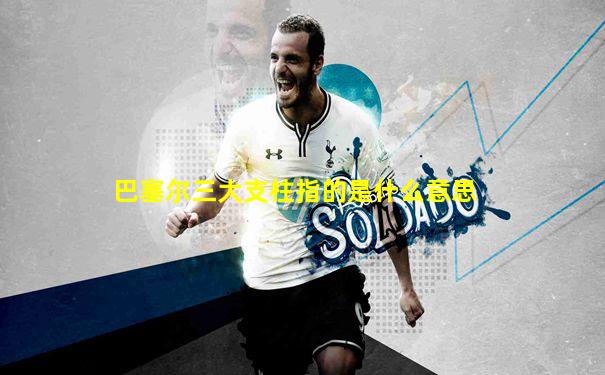 巴塞尔三大支柱指的是什么意思