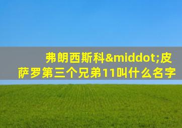弗朗西斯科·皮萨罗第三个兄弟11叫什么名字