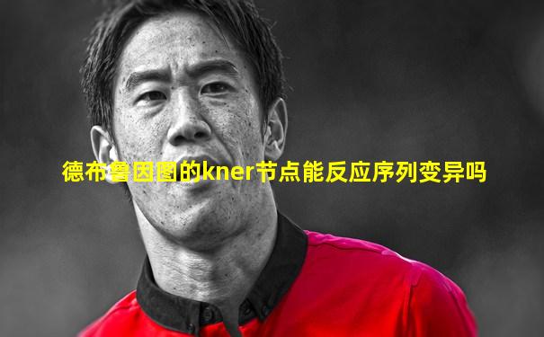 德布鲁因图的kner节点能反应序列变异吗