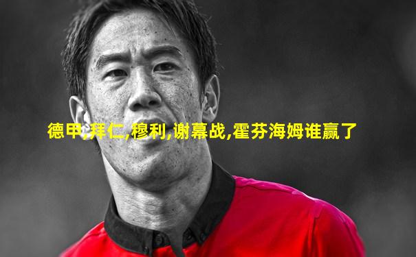 德甲,拜仁,穆利,谢幕战,霍芬海姆谁赢了
