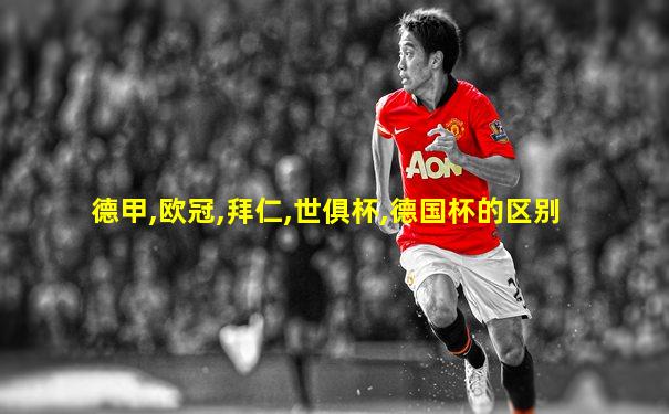 德甲,欧冠,拜仁,世俱杯,德国杯的区别