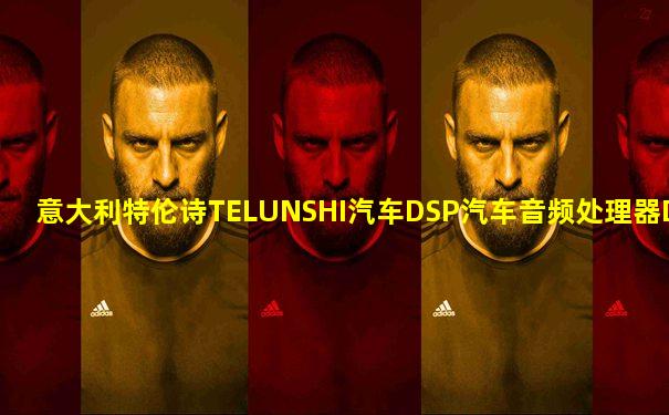 意大利特伦诗TELUNSHI汽车DSP汽车音频处理器DT-7