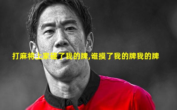 打麻将上家碰了我的牌,谁摸了我的牌我的牌