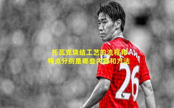 托瓦克烧结工艺的流程和特点分别是哪些内容和方法