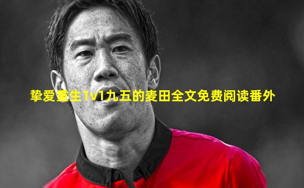 挚爱重生1v1九五的麦田全文免费阅读番外