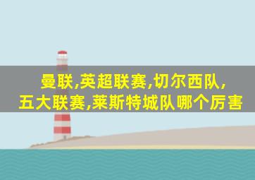 曼联,英超联赛,切尔西队,五大联赛,莱斯特城队哪个厉害
