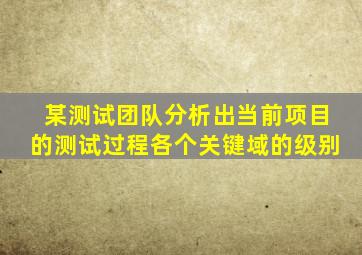 某测试团队分析出当前项目的测试过程各个关键域的级别