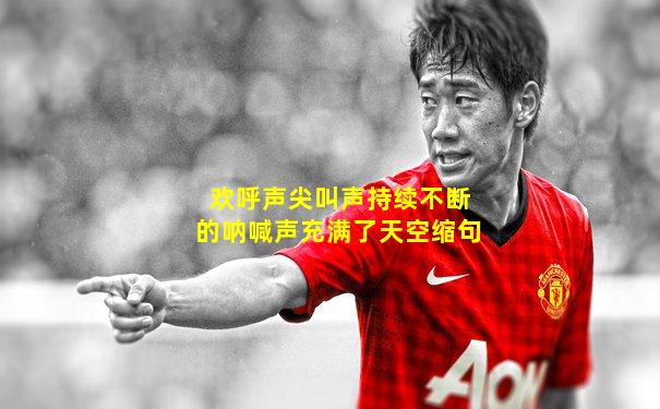 欢呼声尖叫声持续不断的呐喊声充满了天空缩句