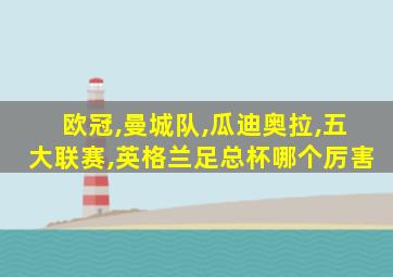 欧冠,曼城队,瓜迪奥拉,五大联赛,英格兰足总杯哪个厉害
