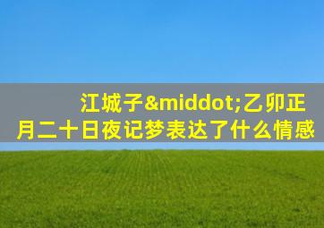 江城子·乙卯正月二十日夜记梦表达了什么情感