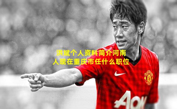洪斌个人资料简介河南人现在重庆市任什么职位