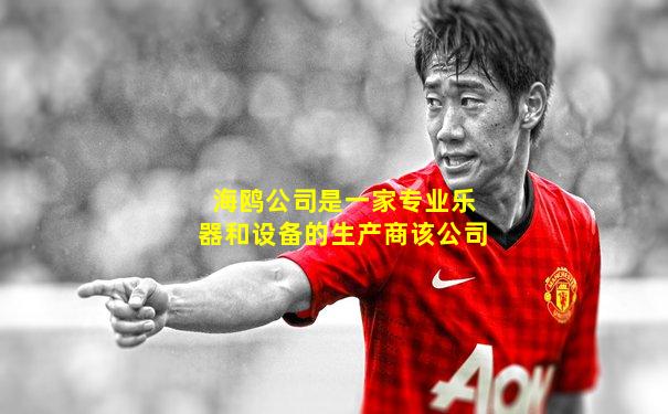 海鸥公司是一家专业乐器和设备的生产商该公司
