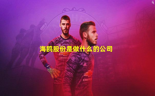 海鸥股份是做什么的公司