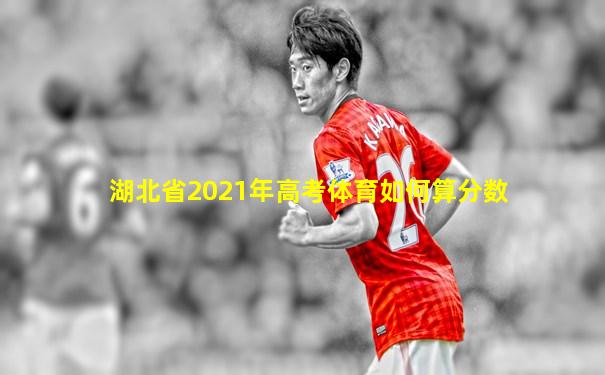 湖北省2021年高考体育如何算分数