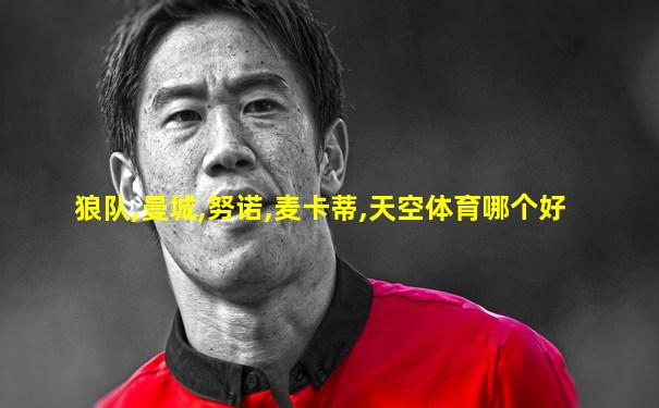 狼队,曼城,努诺,麦卡蒂,天空体育哪个好