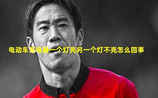 电动车充电器一个灯亮另一个灯不亮怎么回事