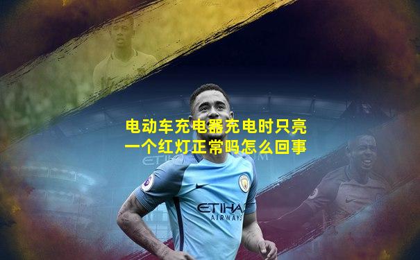 电动车充电器充电时只亮一个红灯正常吗怎么回事