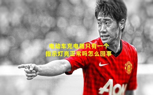 电动车充电器只有一个指示灯亮正常吗怎么回事