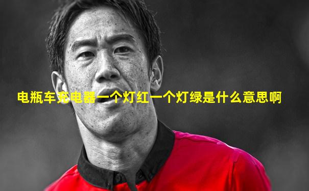 电瓶车充电器一个灯红一个灯绿是什么意思啊