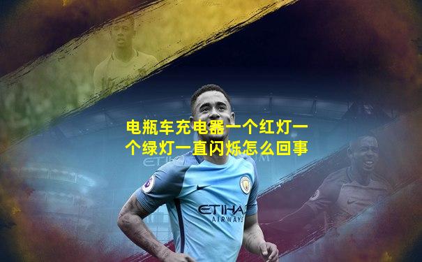 电瓶车充电器一个红灯一个绿灯一直闪烁怎么回事