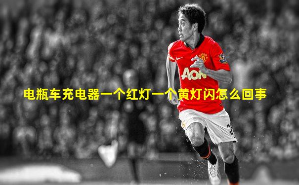 电瓶车充电器一个红灯一个黄灯闪怎么回事