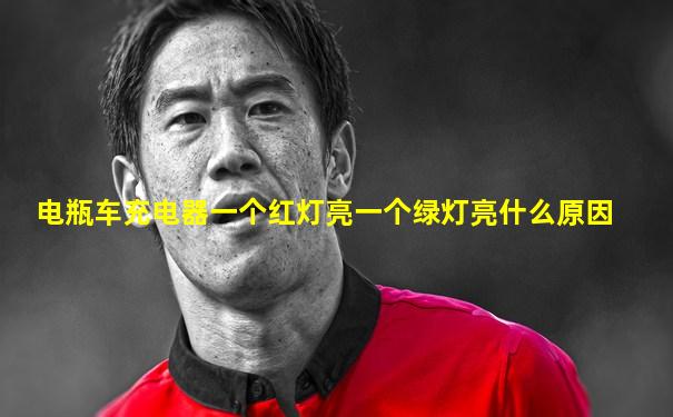 电瓶车充电器一个红灯亮一个绿灯亮什么原因