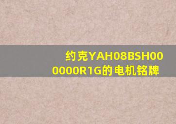 约克YAH08BSH000000R1G的电机铭牌
