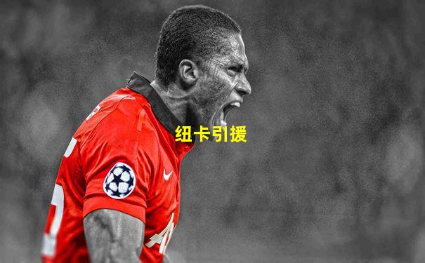 纽卡引援