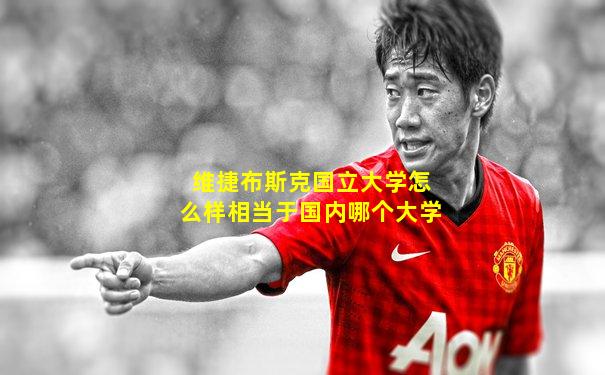 维捷布斯克国立大学怎么样相当于国内哪个大学